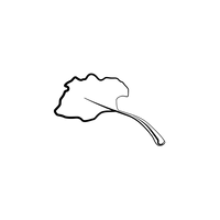 Le Sirop de MONIN Rhubarb