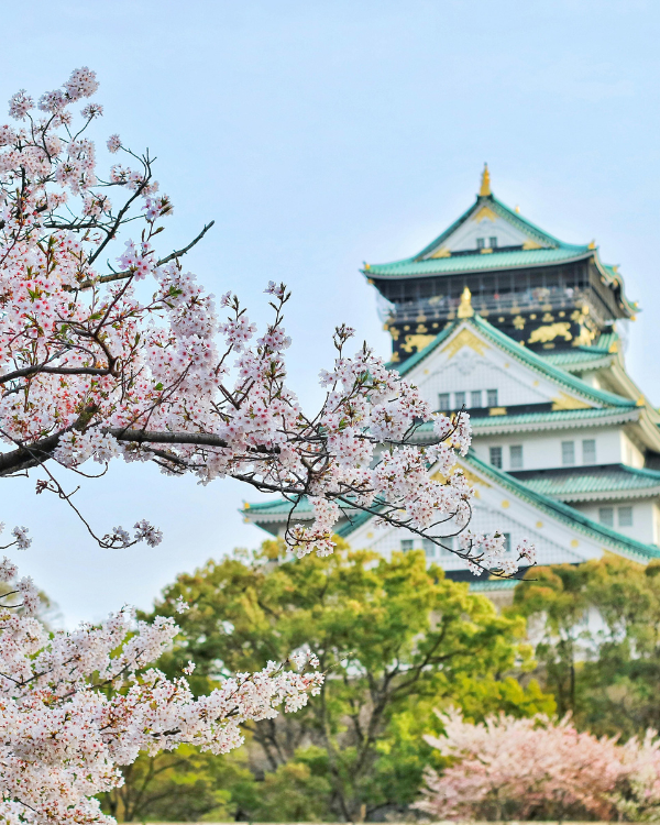 Bevarage world tour - Chapter I / Japan