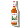 Le Sirop de MONIN Irish