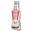 La Liqueur de MONIN Lychee