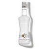 La Liqueur de MONIN Coconut