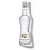 La Liqueur de MONIN White Cocoa