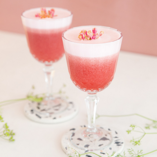 Blueberry Martini - MONIN 1912 