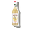 Le Concentré de MONIN Ginger