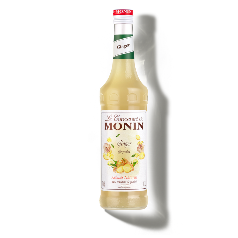 Le Concentré de MONIN Ginger