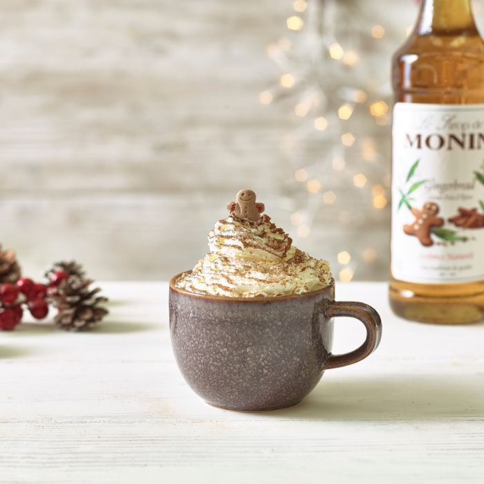Gingerbread Hot Chocolate - MONIN 1912 