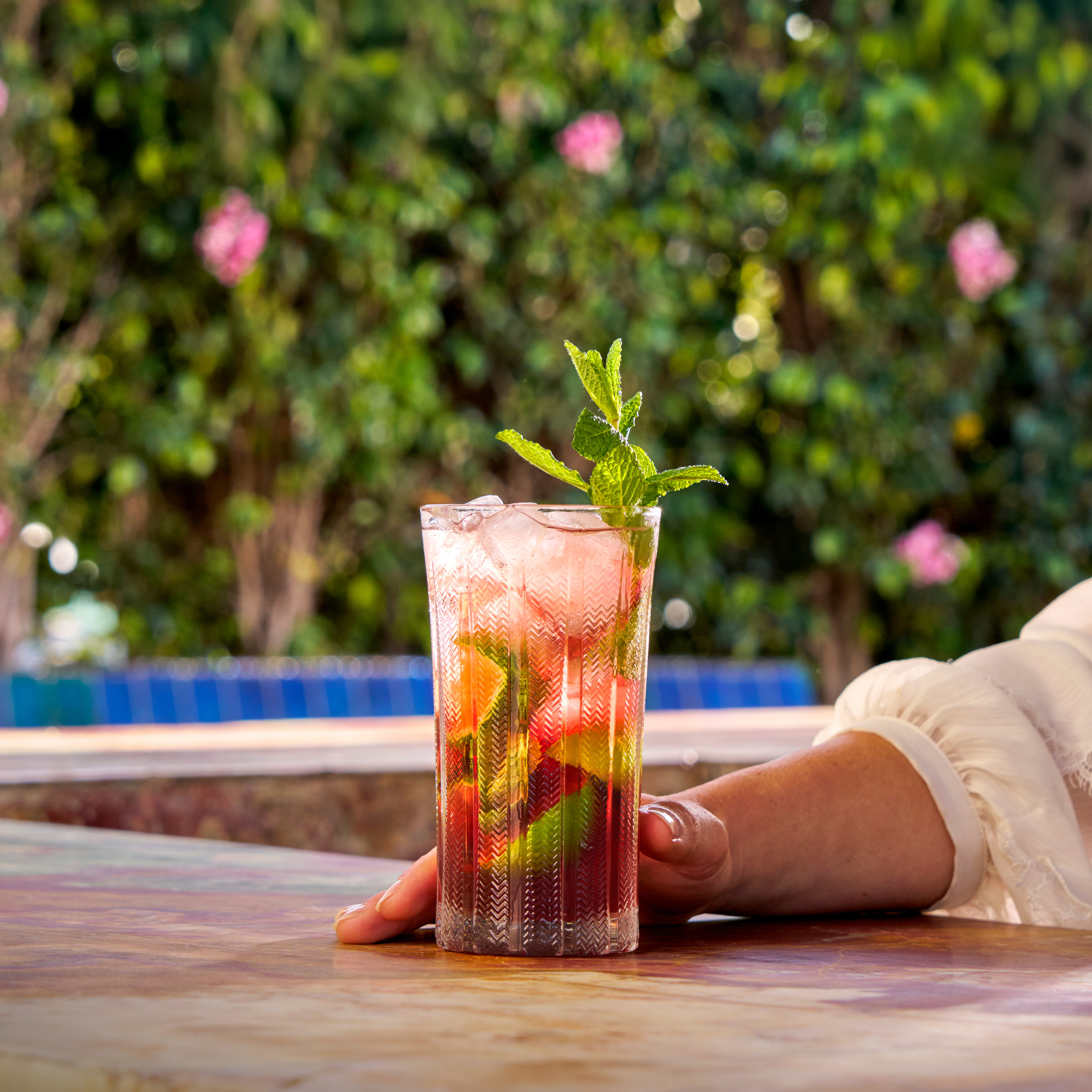 Hibiscus Blackberry Mojito - MONIN 1912 