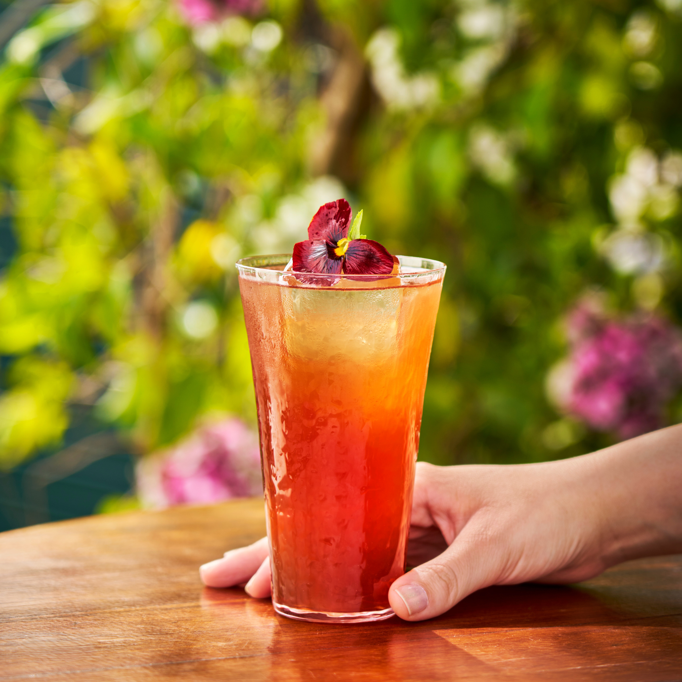 Hibiscus Iced Tea - MONIN 1912 