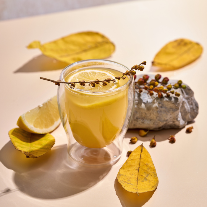 Hot Passion Lemonade - MONIN 1912 