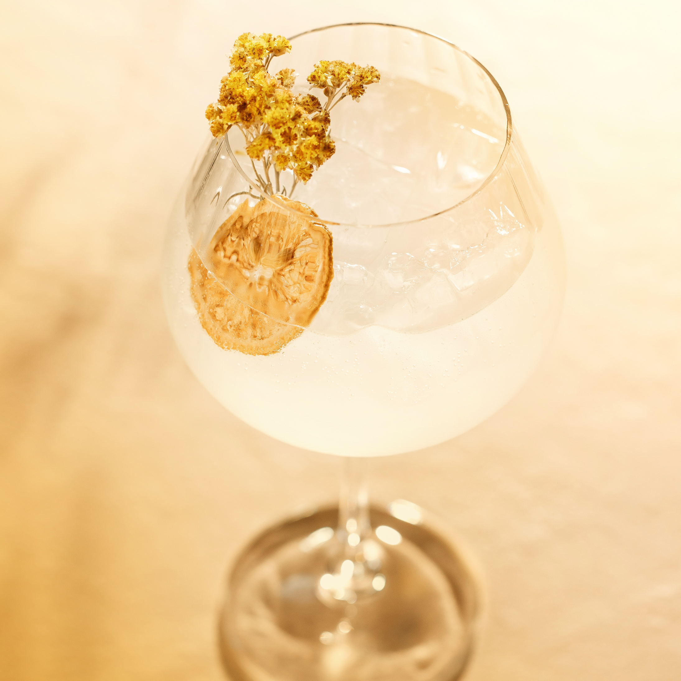Immortelle Gin & Tonic - MONIN 1912 