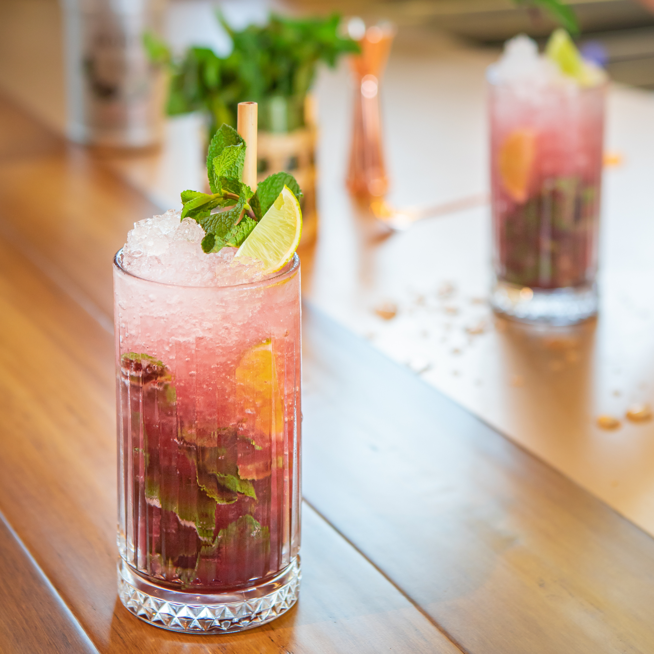 Jabuticaba Mojito - MONIN 1912 