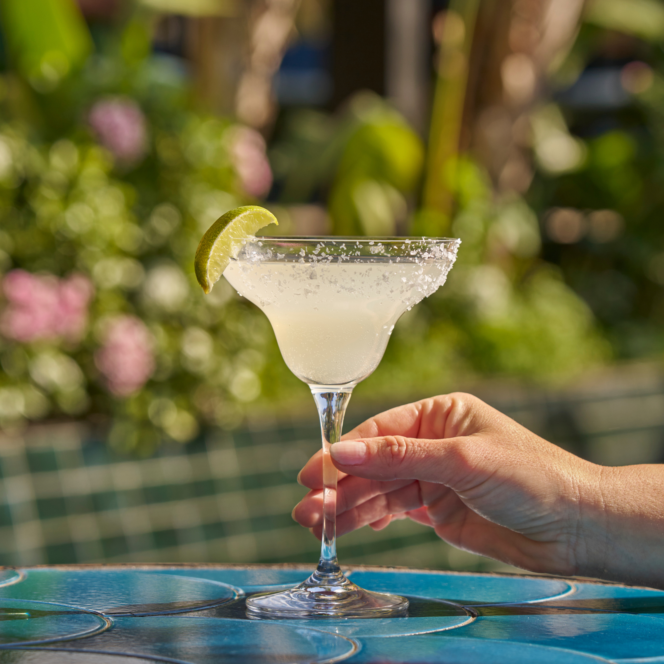 Jasmine Margarita - MONIN 1912 