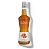 La Liqueur de MONIN Amaretto