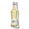 La Liqueur de MONIN Elderflower