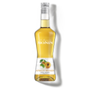 La Liqueur de MONIN Apricot Brandy