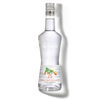 La Liqueur de MONIN 25° Triple Sec Curaçao