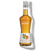 La Liqueur de MONIN Apricot Brandy