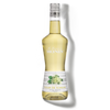 La Liqueur de MONIN Elderflower