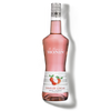 La Liqueur de MONIN Lychee