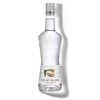 La Liqueur de MONIN White Cocoa