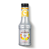 Le Fruit de MONIN Mango