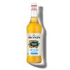 Le Mixeur de MONIN Mai Tai Mix