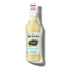 Le Mixeur de MONIN Margarita Mix