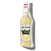 Le Mixeur de MONIN Pina Colada Mix