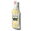 Le Mixeur de MONIN Pina Colada Mix