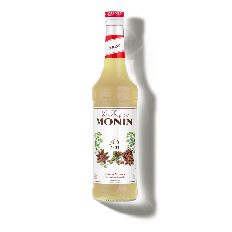 Le Sirop de MONIN Anise