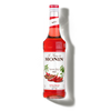 Le Sirop de MONIN Spicy