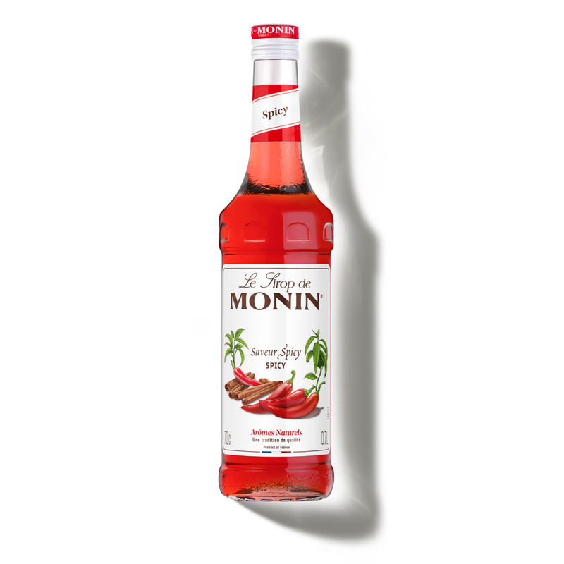 Le Sirop de MONIN Spicy