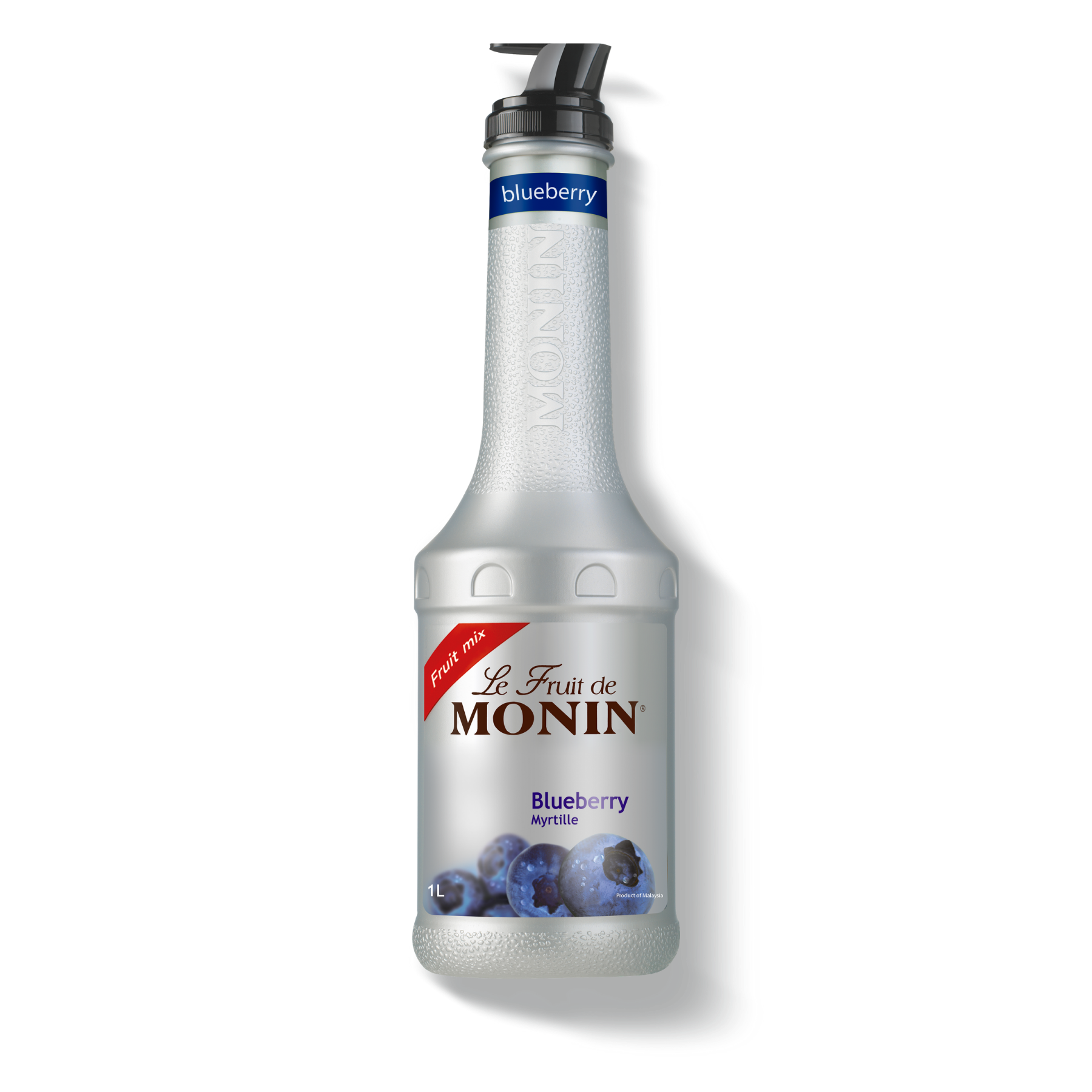 Le Fruit de MONIN Blueberry