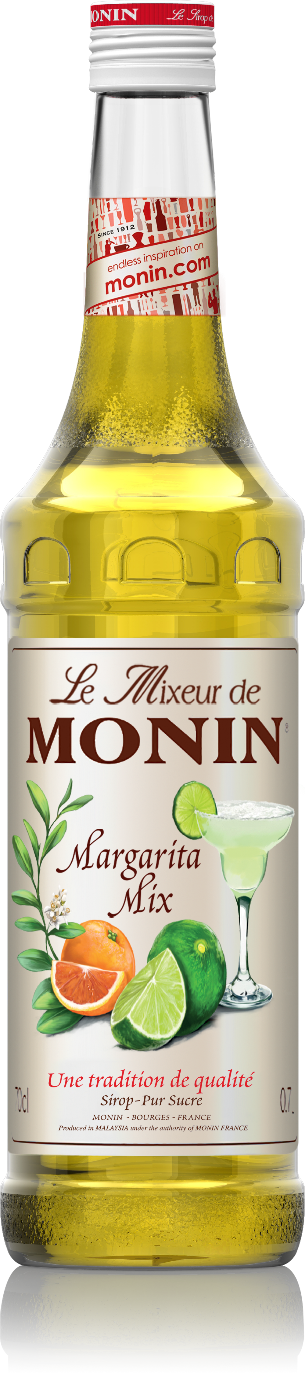 Le Mixeur de MONIN Margarita Mix