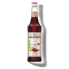 Le Mixeur de MONIN Cosmopolitan Mix