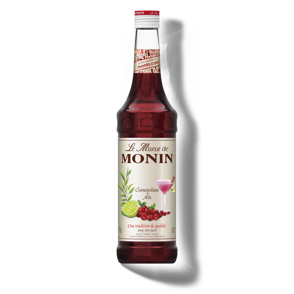 Le Mixeur de MONIN Cosmopolitan Mix