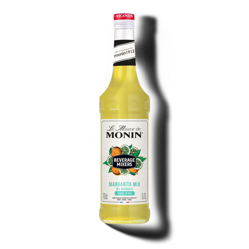 Le Mixeur de MONIN Margarita Mix