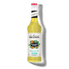 Le Mixeur de MONIN Margarita Mix
