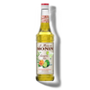 Le Mixeur de MONIN Margarita Mix