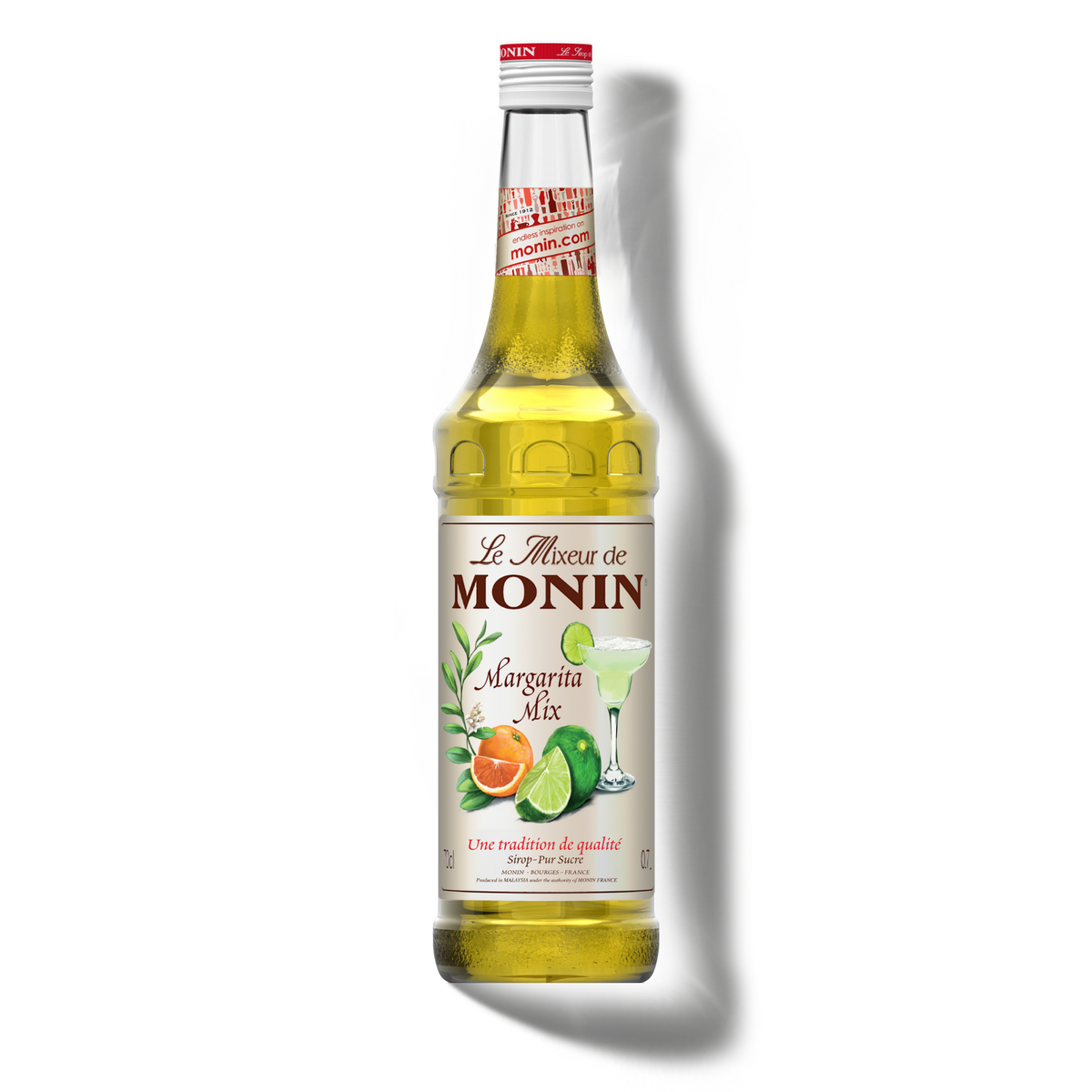 Le Mixeur de MONIN Margarita Mix