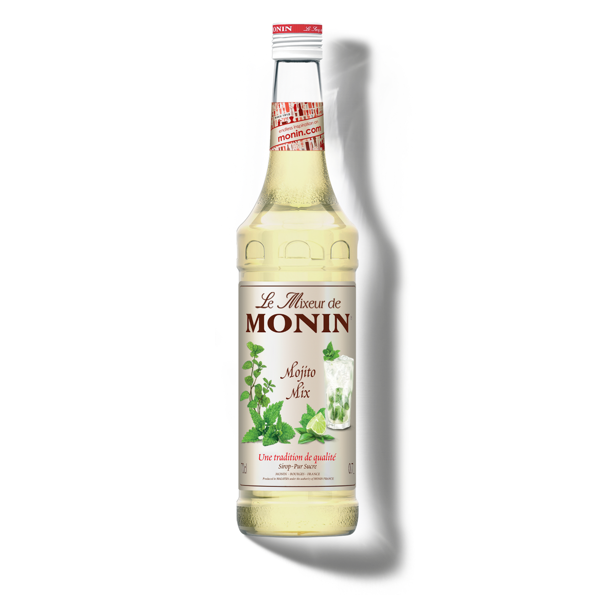Le Mixeur de MONIN Mojito Mix