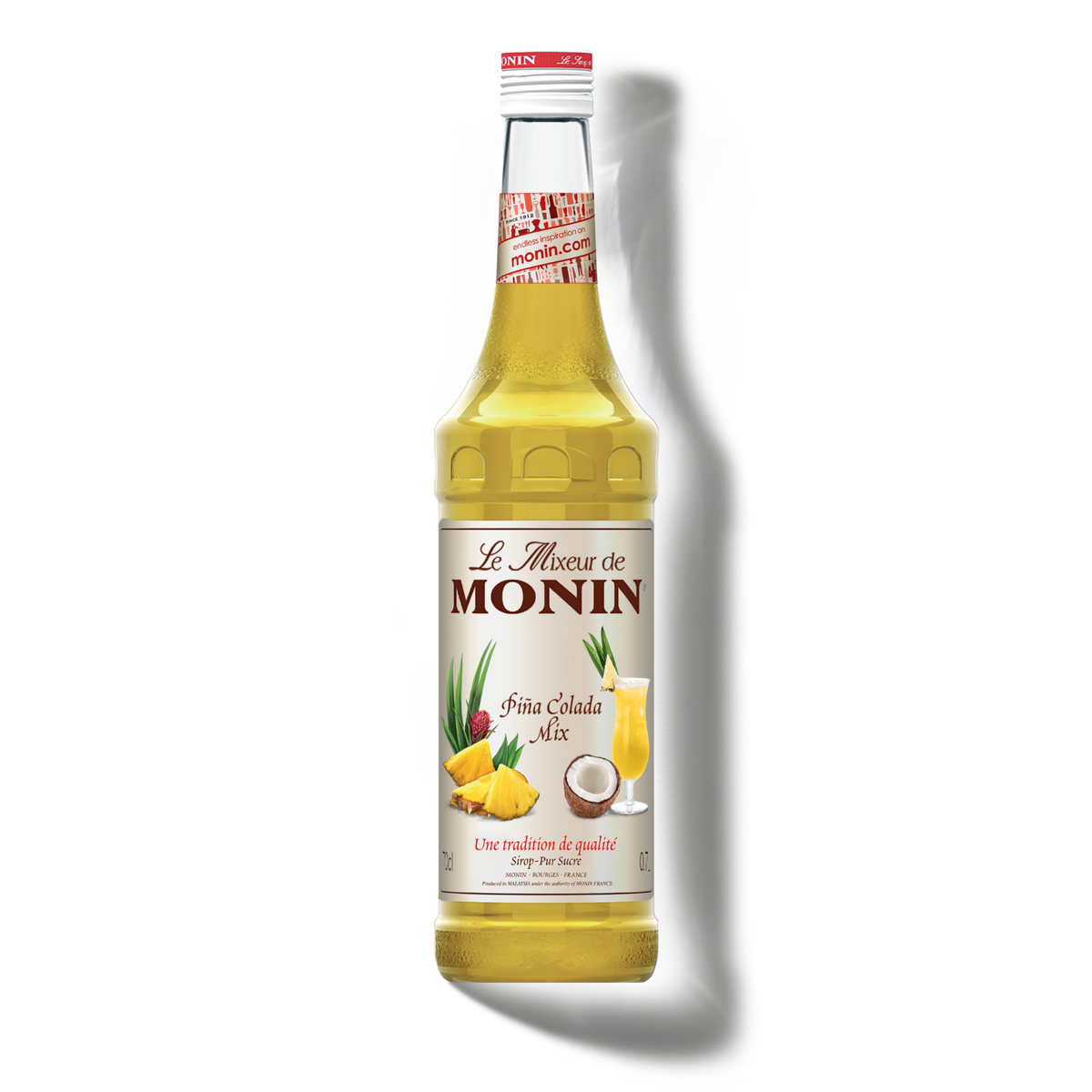 Le Mixeur de MONIN Pina Colada Mix