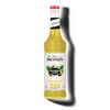 Le Mixeur de MONIN Piña Colada Mix