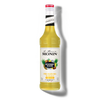 Le Mixeur de MONIN Pina Colada Mix