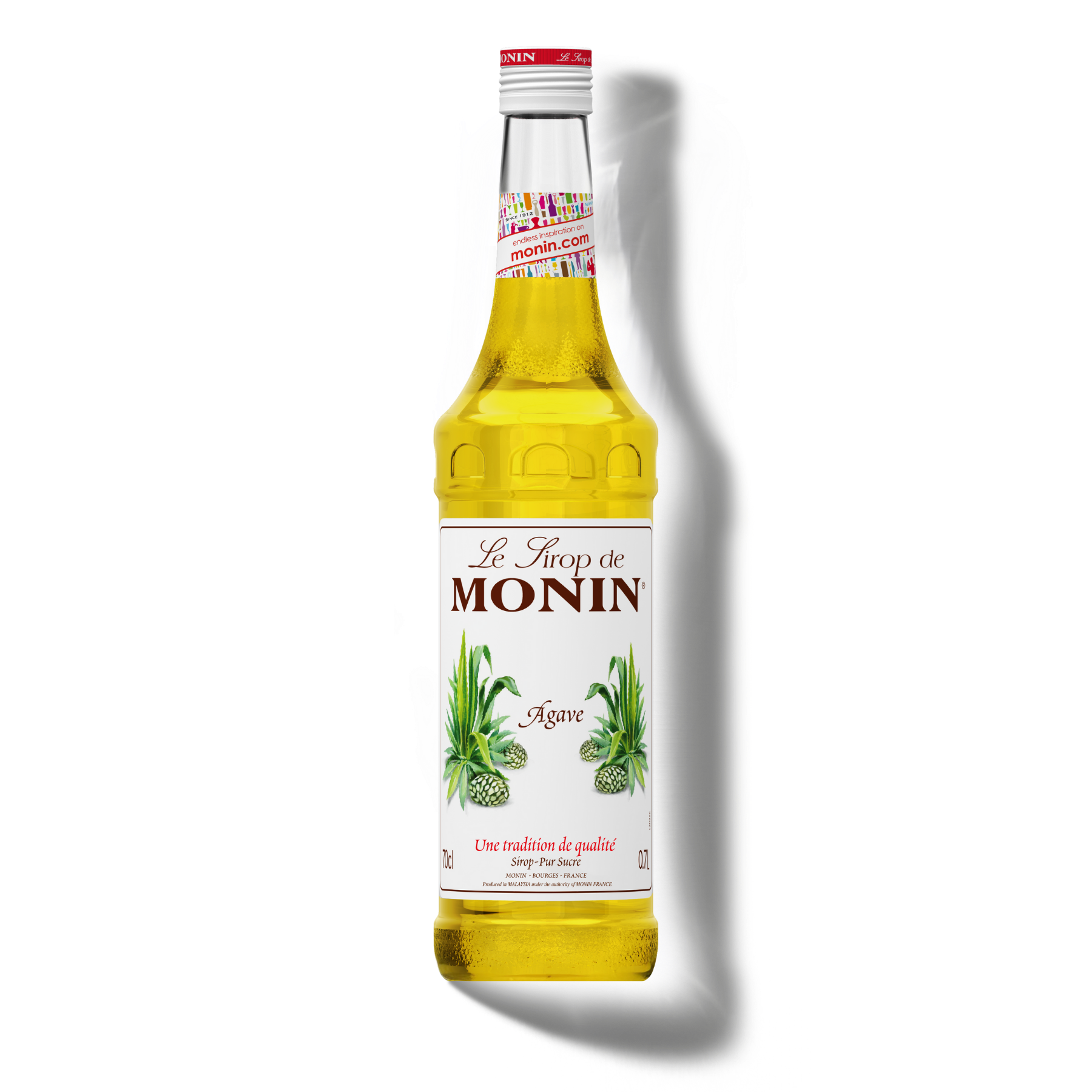 Le Sirop de MONIN Agave