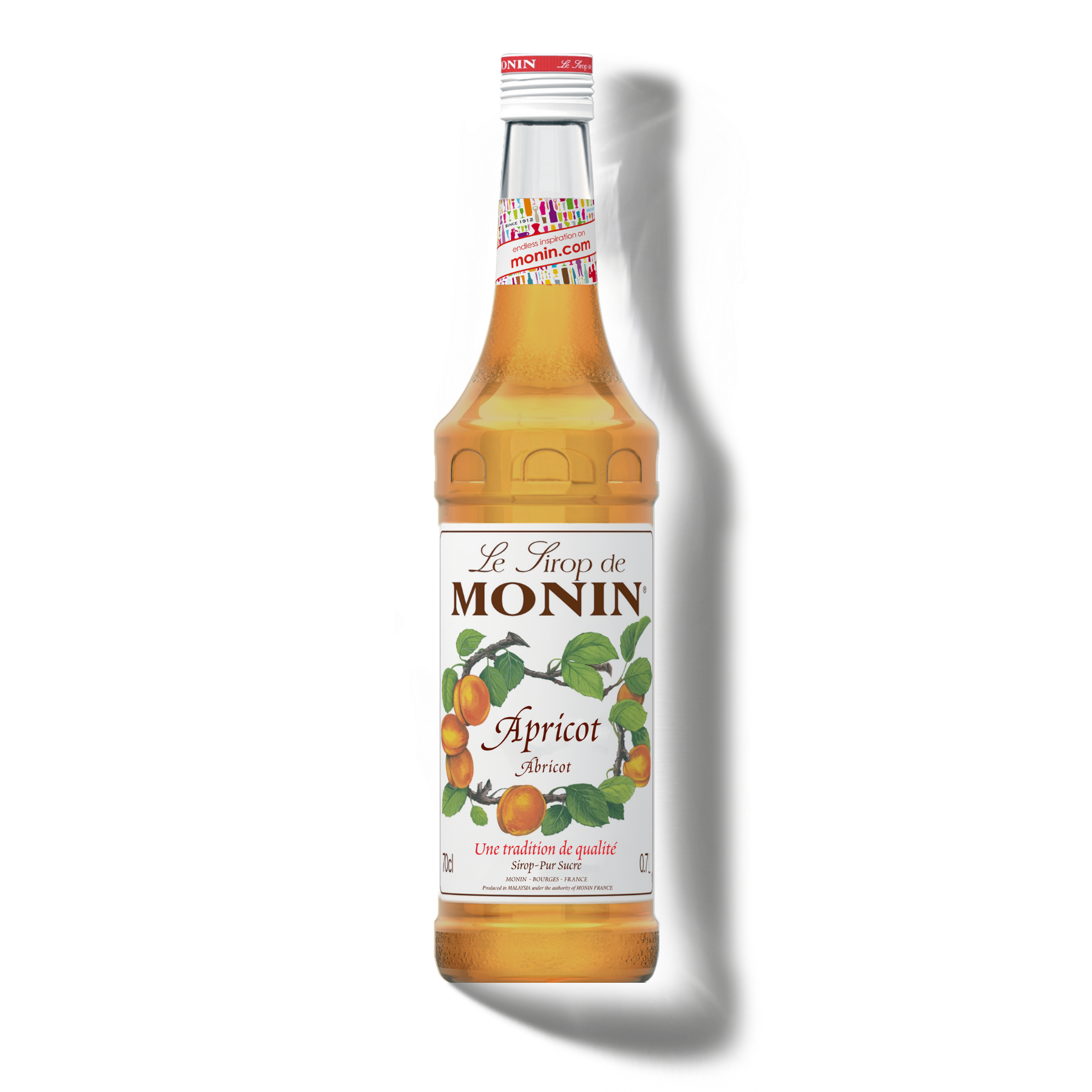 Le Sirop de MONIN Apricot