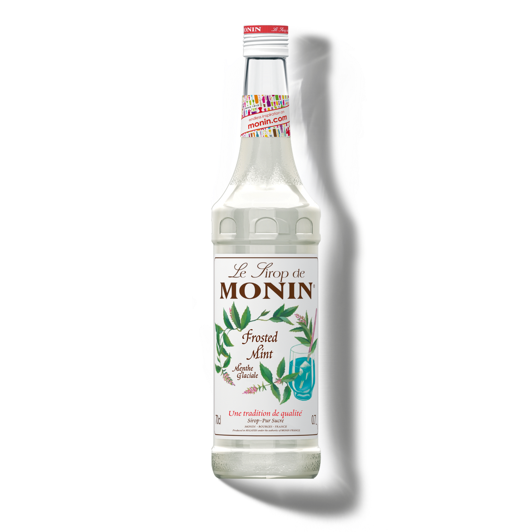 Le Sirop de MONIN Frosted Mint