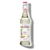 Le Sirop de MONIN Ginger