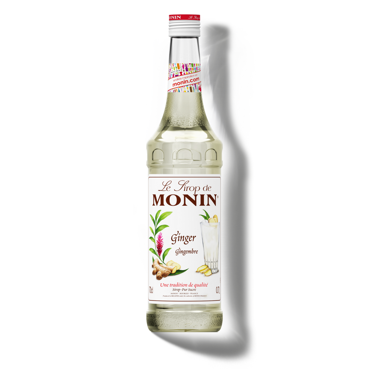Le Sirop de MONIN Ginger