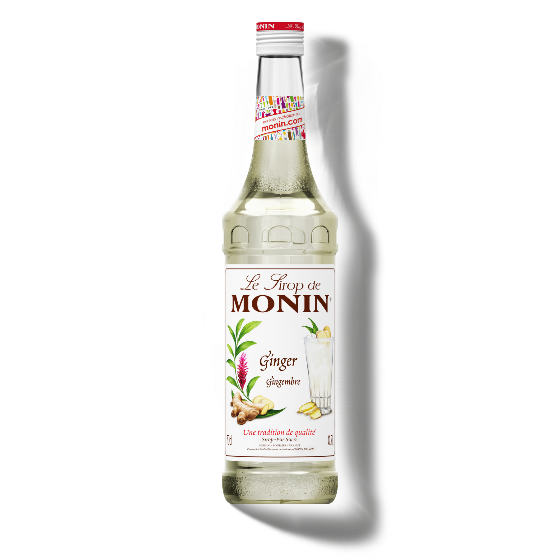 Le Sirop de MONIN Ginger